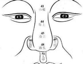 通天鼻面相|鼻子相学图解，面相学各种鼻子男女命相图